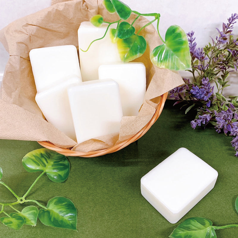 【HIRO】ボタニカルの恵みでうるっと素肌へ。 ボタニカルソープ1P 135g【日本製】